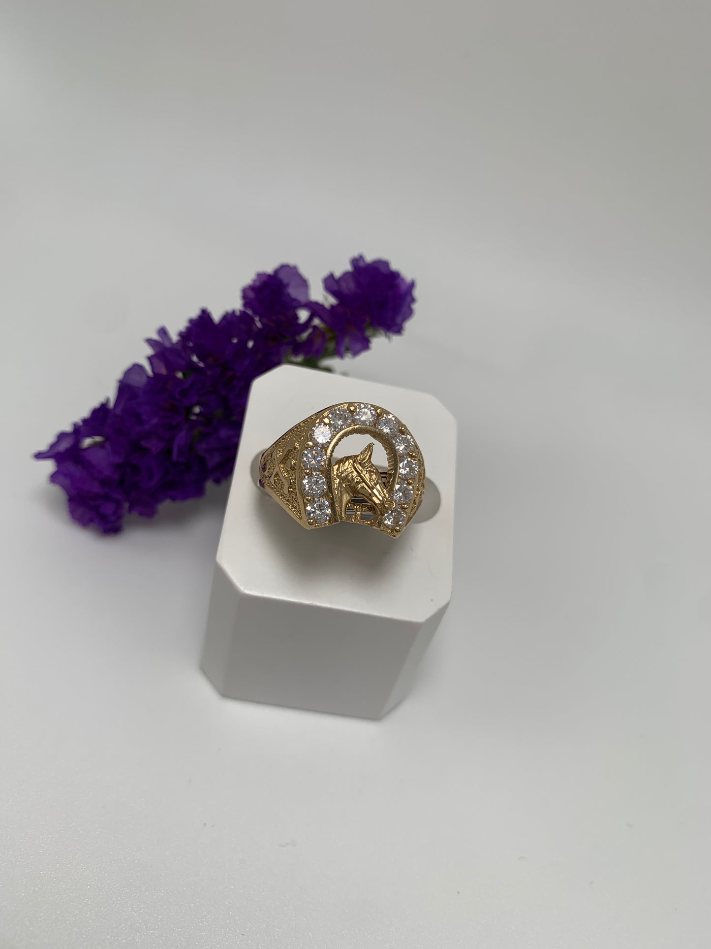 Anillo de Herradura De Caballo